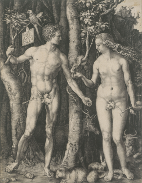 Albrecht Dürer, Adam et Eve, 1504