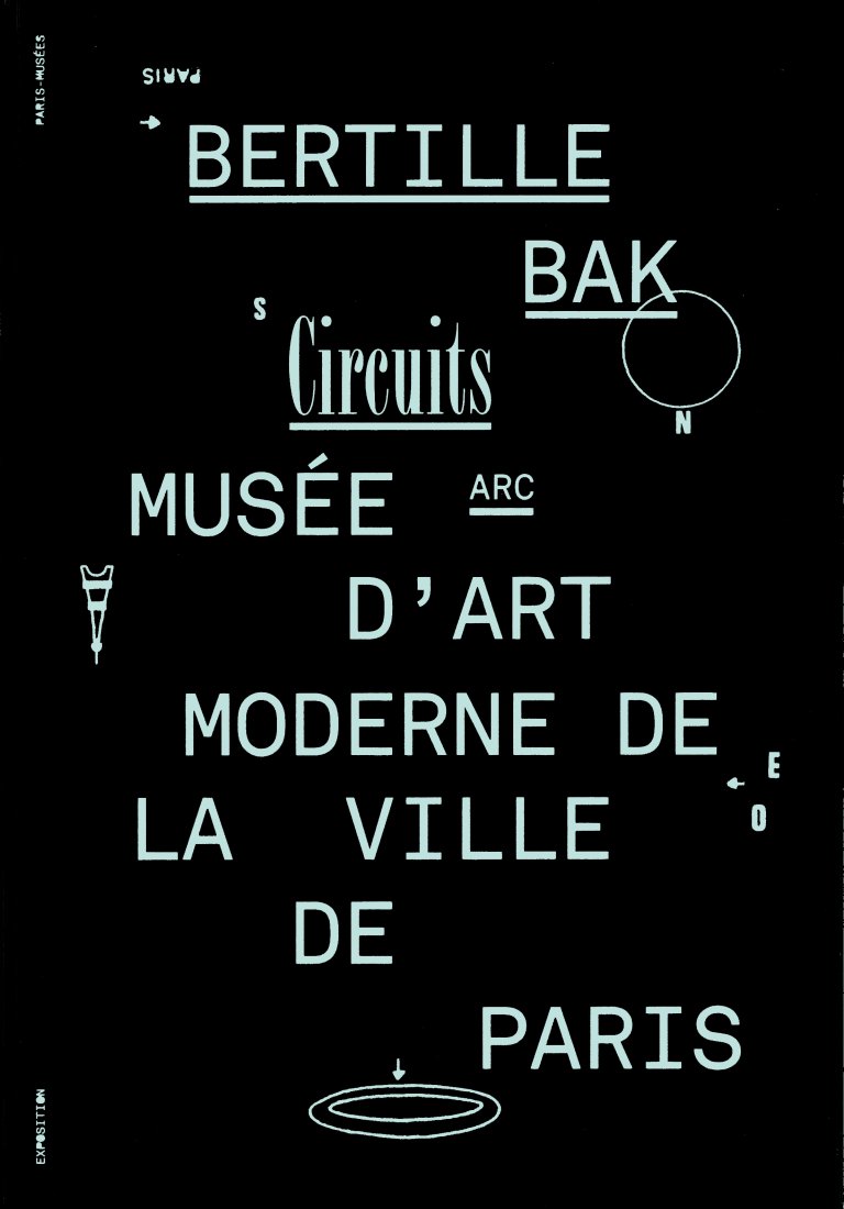 Circuits - Bertille Bak (c) musée d'Art moderne de la Ville de Paris / Paris Musées